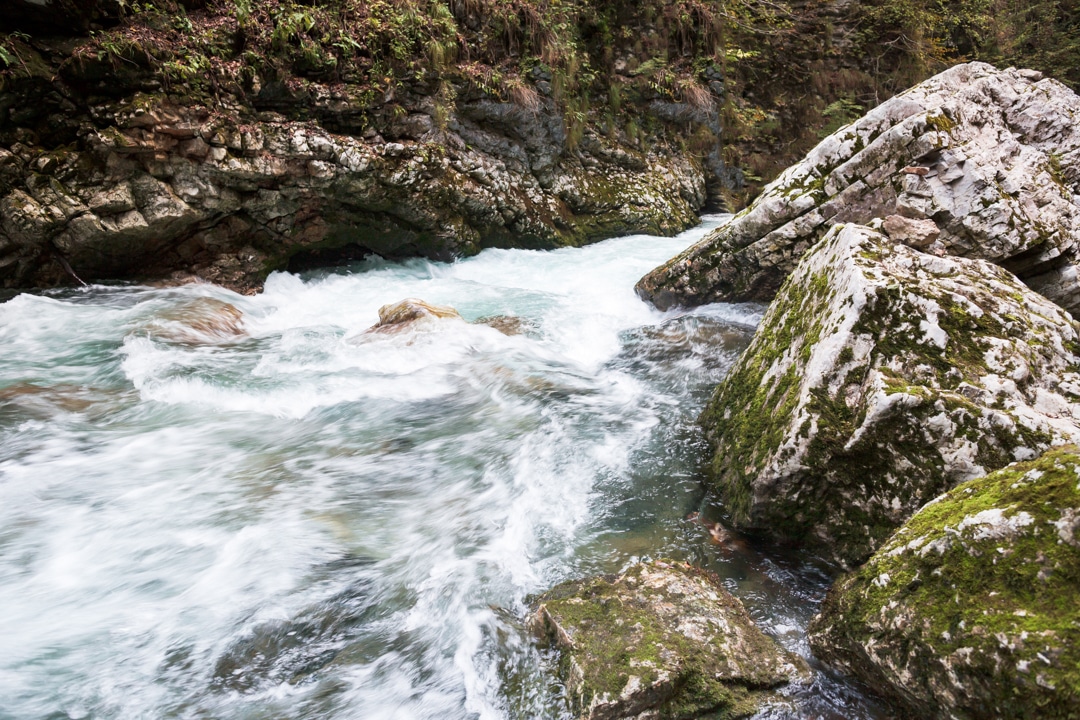 All rights reserved by Mismas photography.