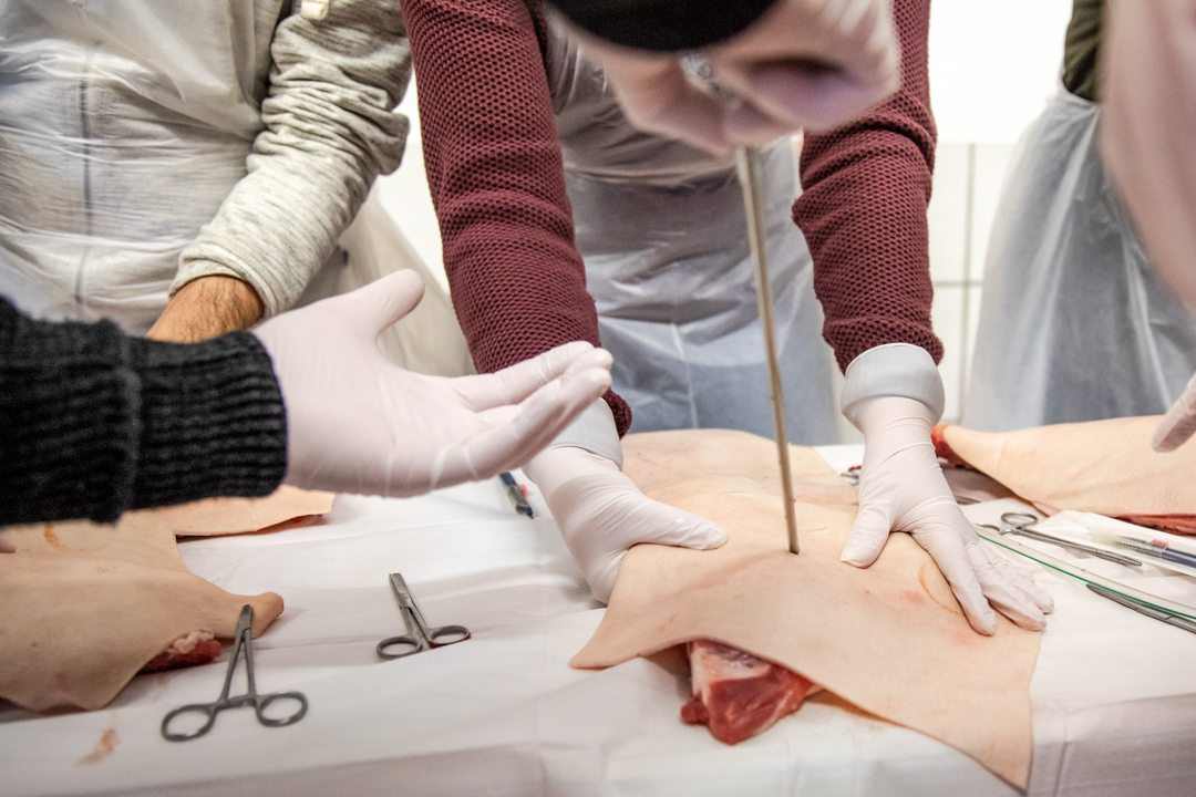 All rights reserved by Mismas photography.